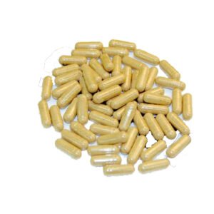 Buy IBOGA CAPSULES Online